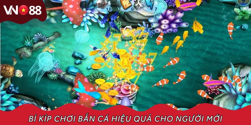 Bí kíp chơi bắn cá hiệu quả cho người mới