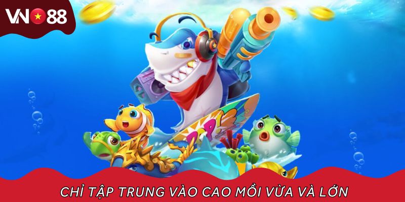 Chỉ tập trung vào cao mồi vừa và lớn