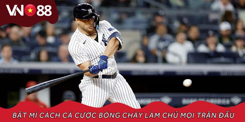 Bật mí cách cá cược bóng chày làm chủ mọi trận đấu