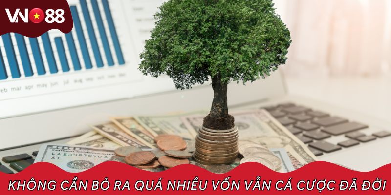 Không cần bỏ ra quá nhiều vốn vẫn cá cược đã đời