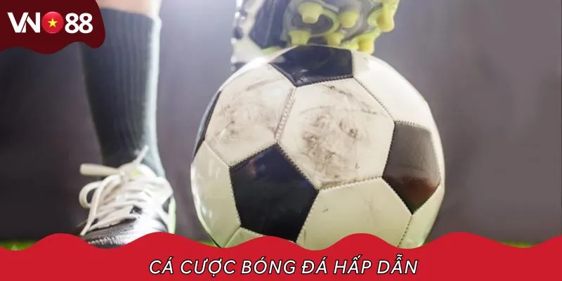 Cá cược bóng đá với nhiều giải uy tín