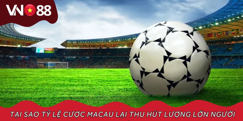 Tại sao tỷ lệ cược Macau lại thu hút lượng lớn người chơi