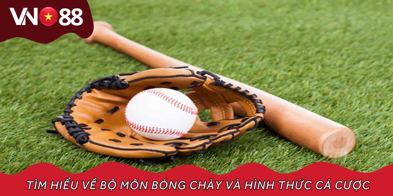 Tìm hiểu sơ lược về bộ môn bóng chày và hình thức cá cược