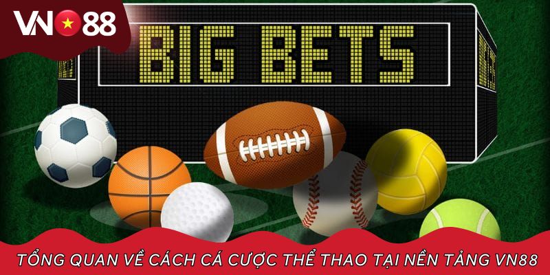 Tổng quan về cách cá cược thể thao tại nền tảng VN88