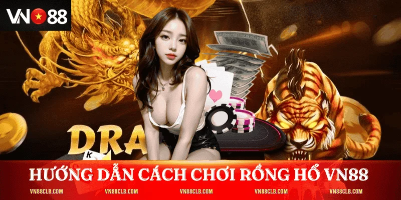 Hướng dẫn cách chơi Rồng Hổ tại VN88 cho người mới